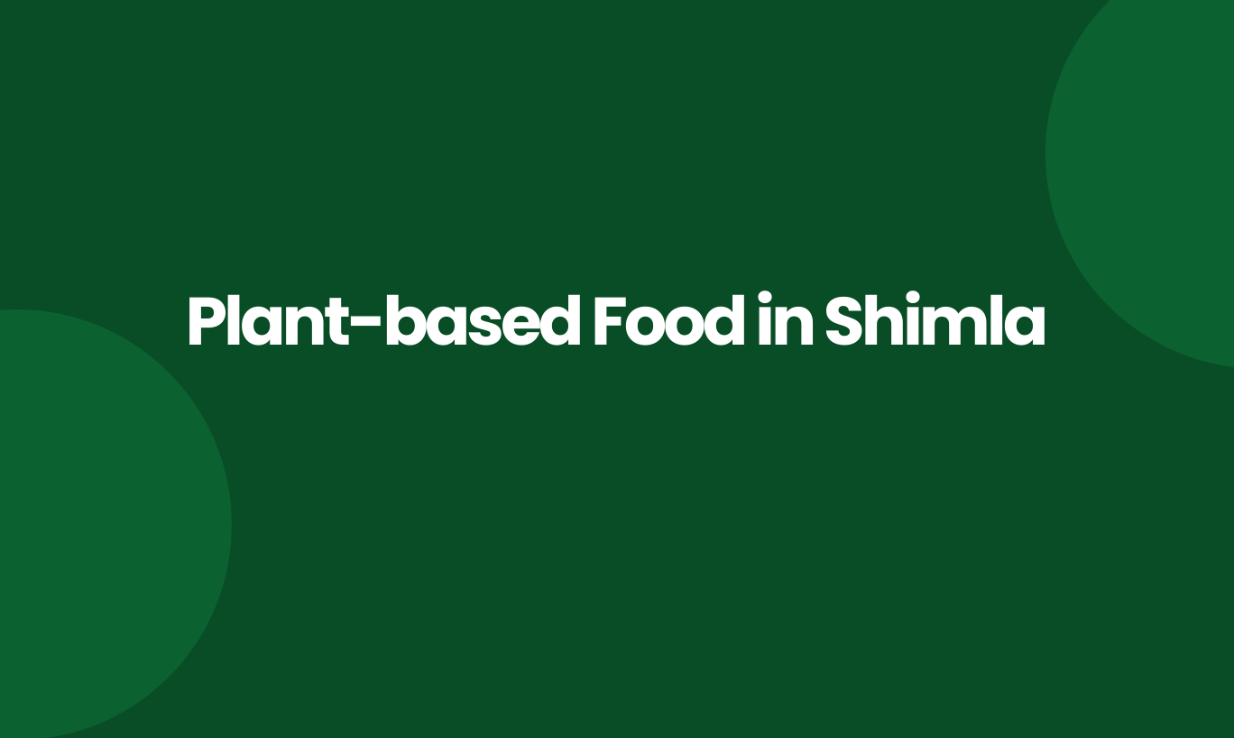 plant based food in Shimla