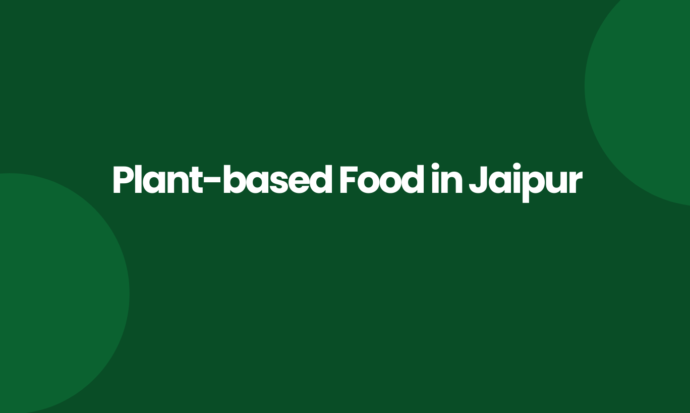 plant based food in Jaipur